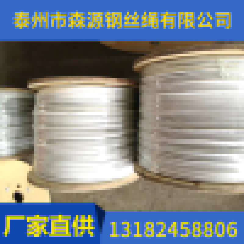 涂塑鋼絲繩tsgs_002